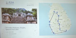 IMG_5775